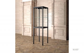 furniture pantry perturbation Vitrina de sticla muzeu MU/60F